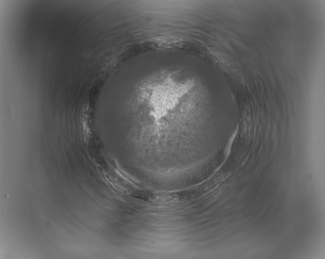 X0000074031346200609061131