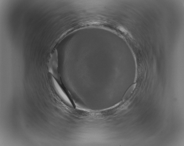 X0000074031353200609061131