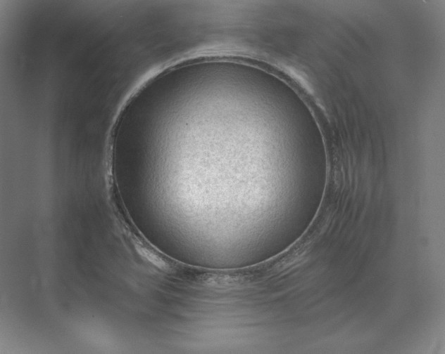 X0000074031366200609061131