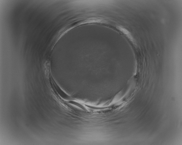 X0000074031369200609061130