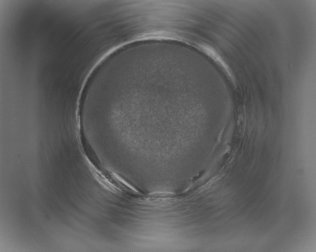 X0000074031372200609061130