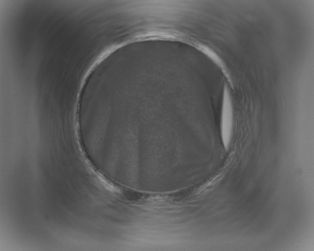 X0000074031373200609061130