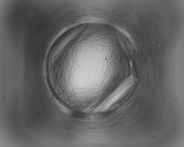 X0000074031375200609061130