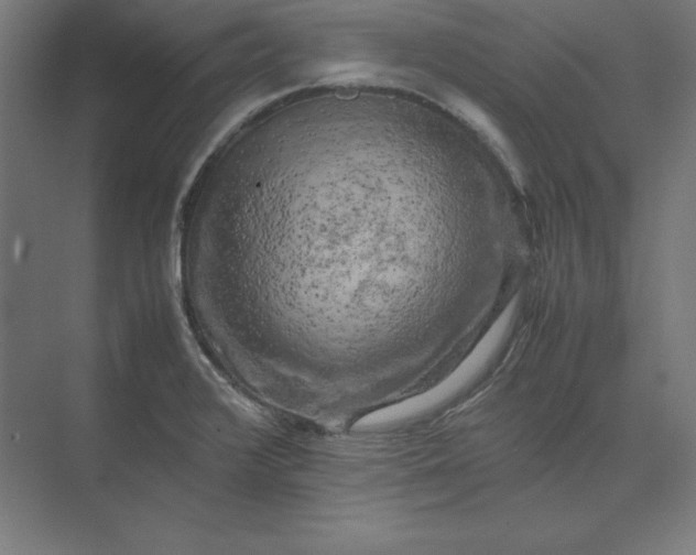 X0000074031376200609061130