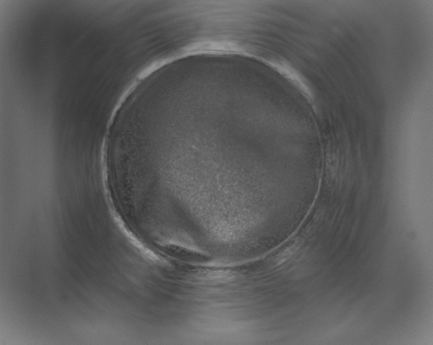 X0000074031382200609061130