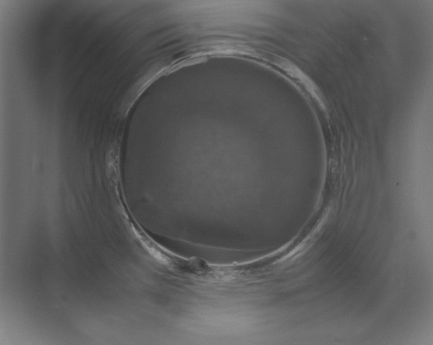 X0000074031385200609061130