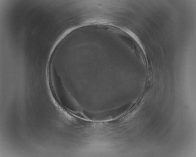 X0000074031389200609061130