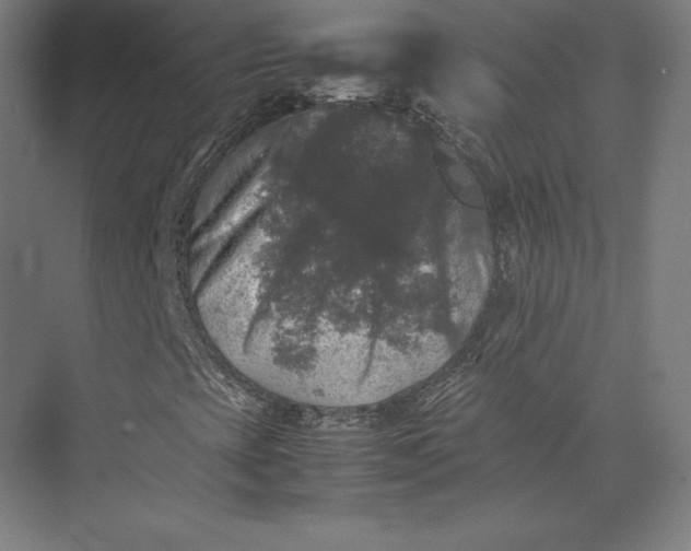X0000074031393200609061129
