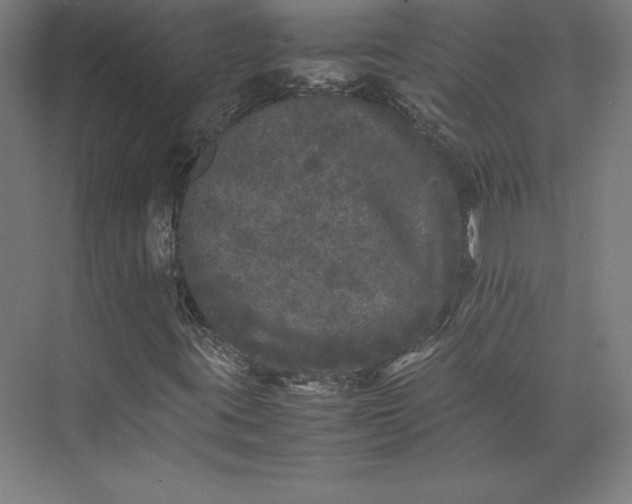 X0000074031395200609061129