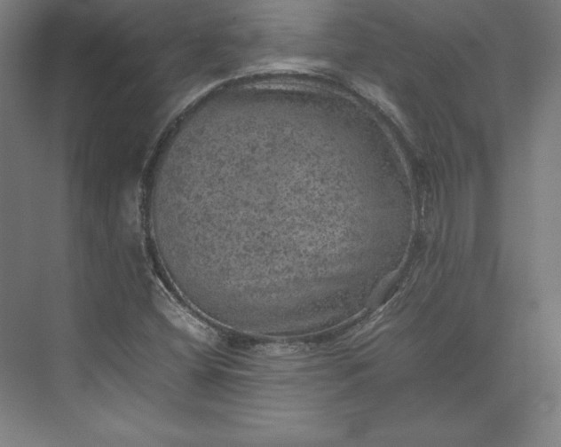 X0000074031404200609061129