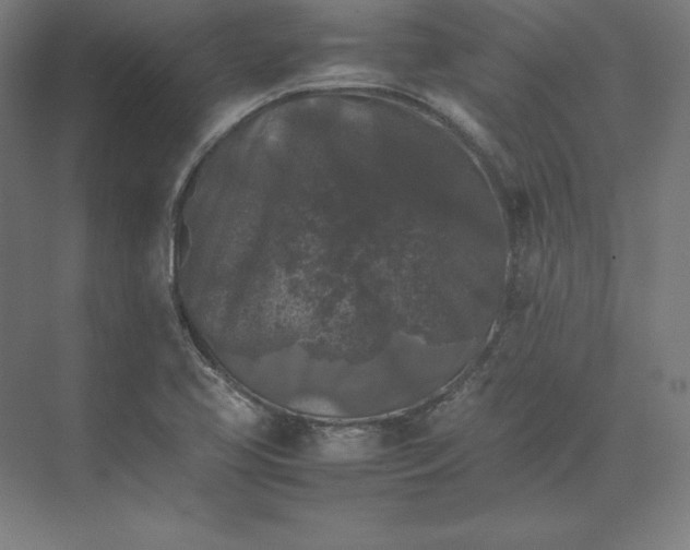 X0000074031413200609061130