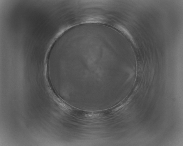 X0000074031419200609061130
