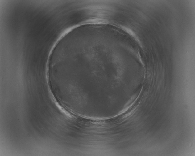 X0000074031421200609061130