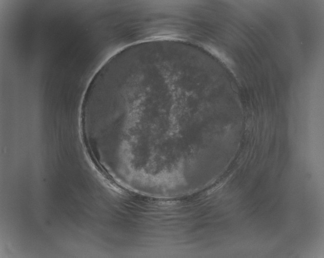 X0000074031423200609061130