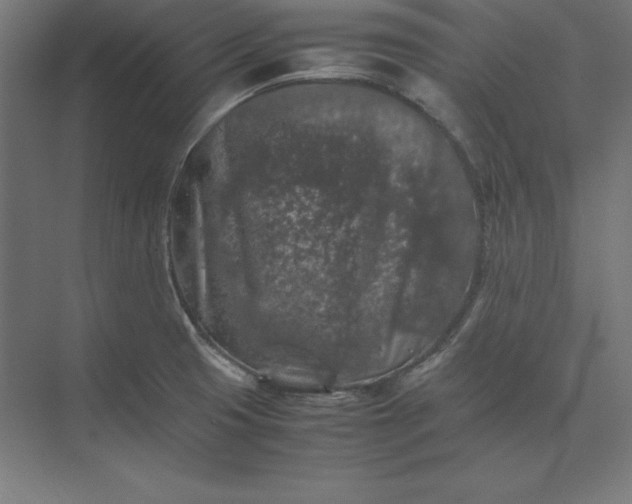 X0000074031425200609061130