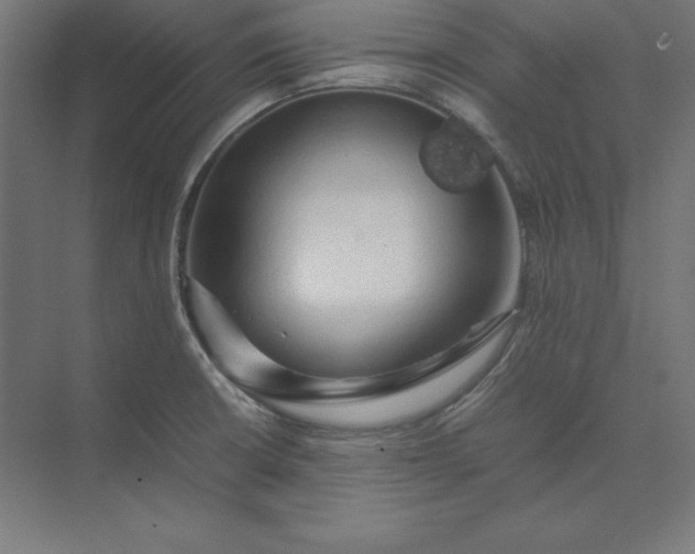 X0000074031426200609061130