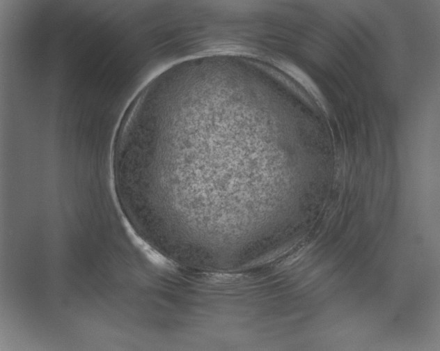 X0000074031439200609061130
