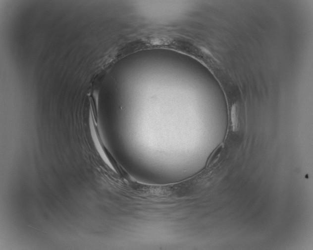 X0000074031443200609061129
