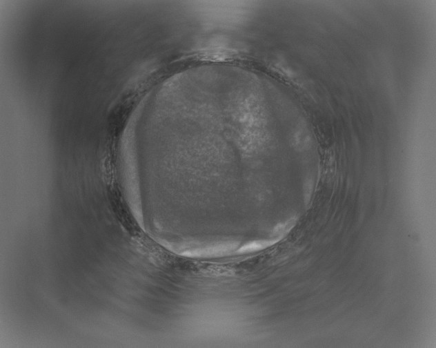 X0000074031446200609061129