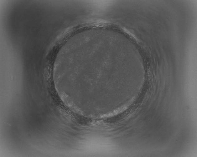 X0000074031447200609061129