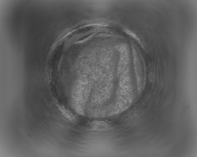 X0000074031448200609061129
