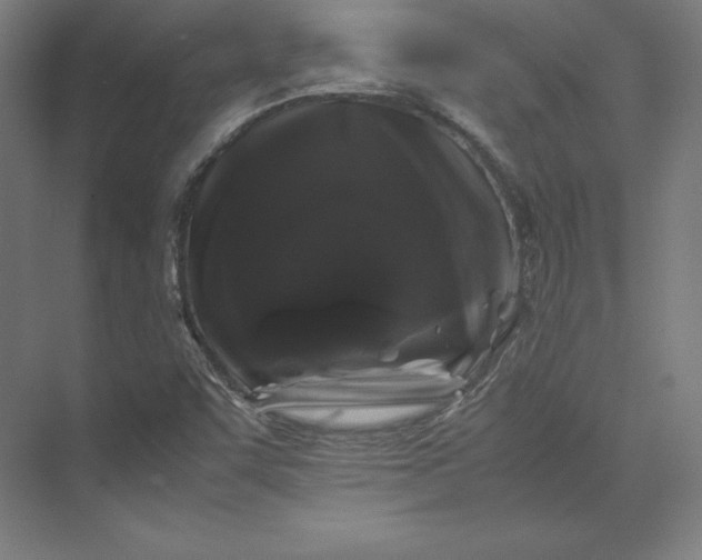 X0000074031455200609061129