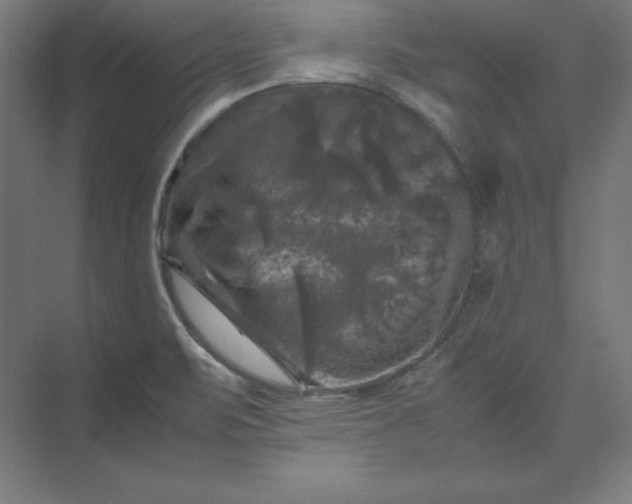 X0000074031471200609061129
