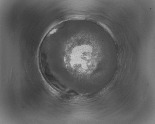 X0000074031475200609061129