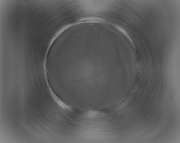X0000074031482200609061129