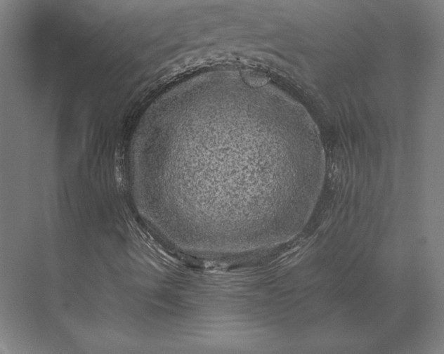 X0000074031490200609061128