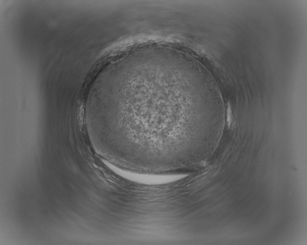 X0000074031492200609061128
