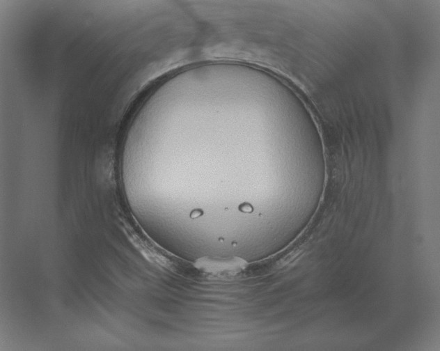 X0000074031499200609061128