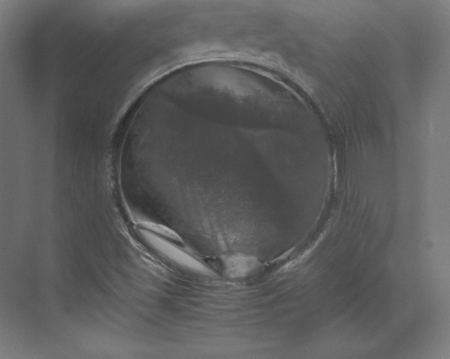 X0000074031501200609061128