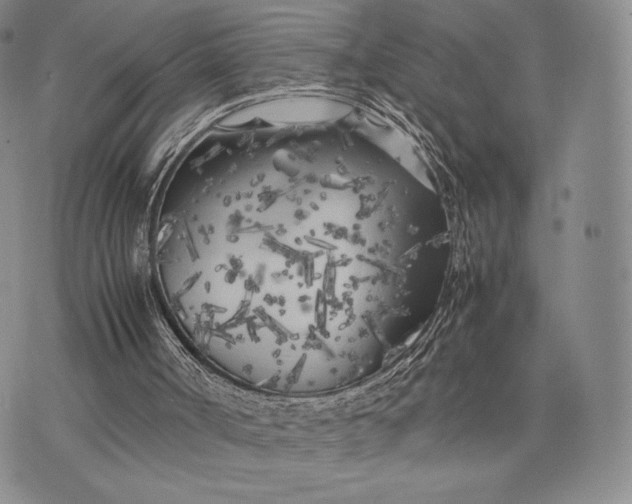 X0000074030002200609111725