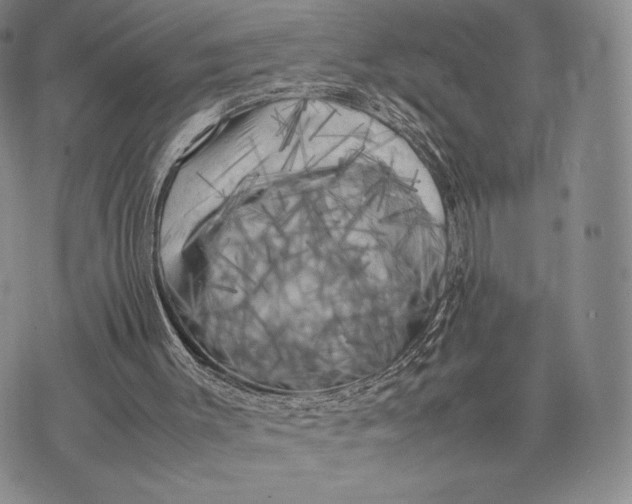 X0000074030003200609111725