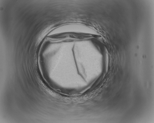 X0000074030005200609111725