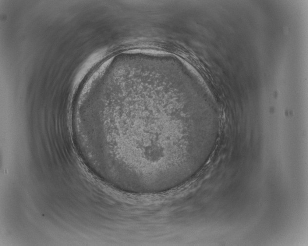 X0000074030006200609111725