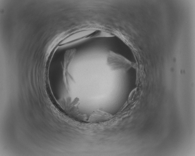 X0000074030007200609111725