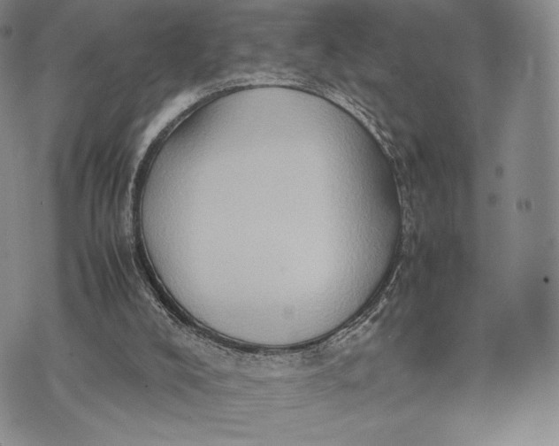 X0000074030008200609111725