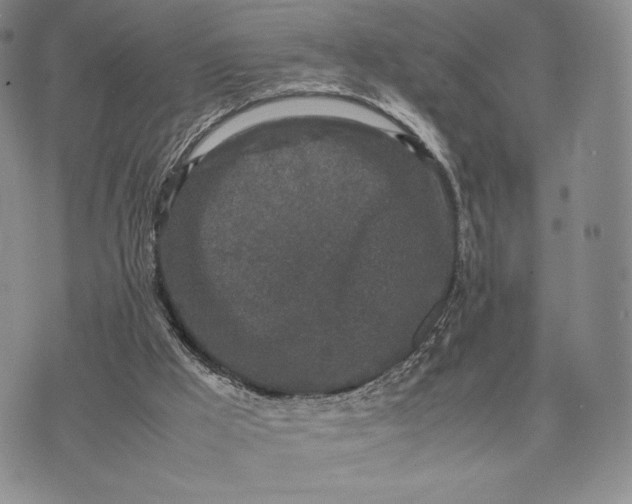 X0000074030009200609111725