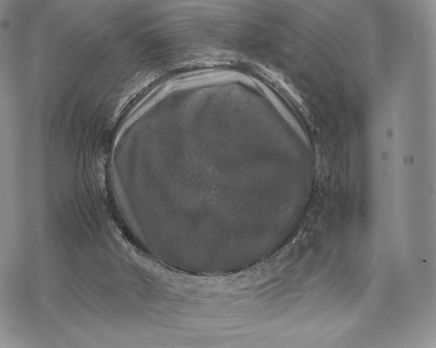 X0000074030010200609111725