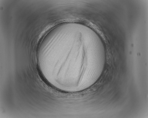 X0000074030011200609111725