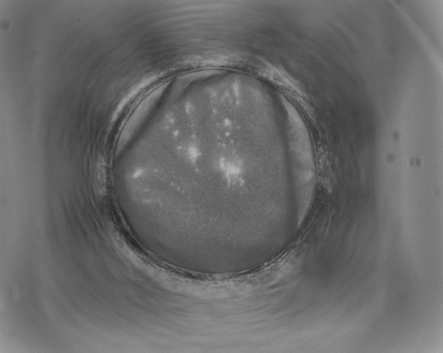 X0000074030012200609111725