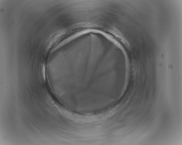 X0000074030014200609111725