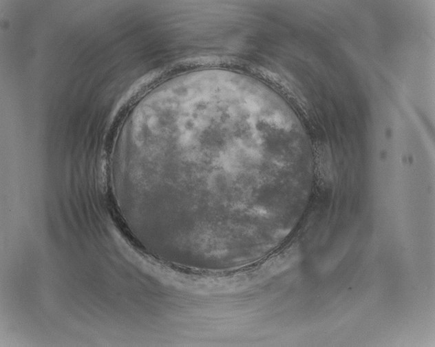 X0000074030016200609111725