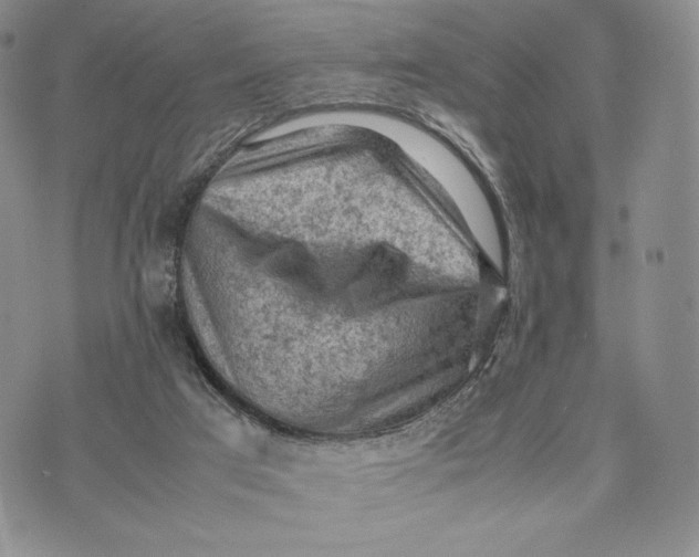 X0000074030017200609111725