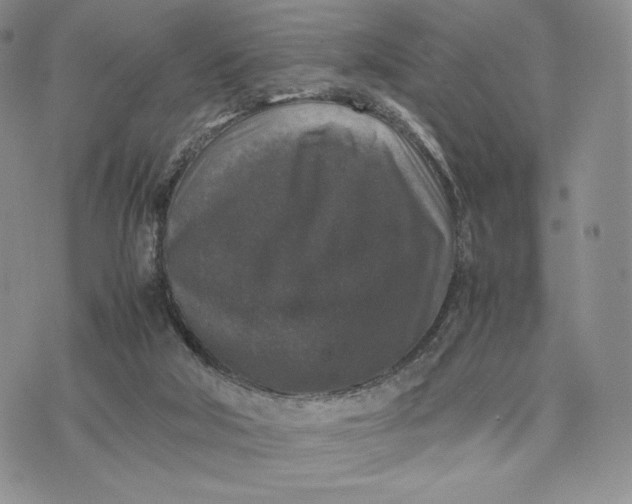 X0000074030018200609111725