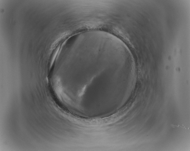 X0000074030019200609111725