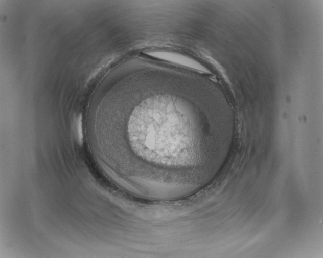 X0000074030020200609111725