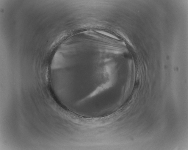 X0000074030023200609111725